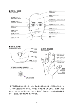 肛門部周囲の病変の位置を示すには、 図の様に時計の文字盤を肛門を