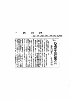 離抗生物質で神経細胞成長 -