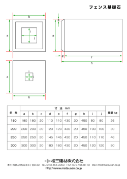 詳細を見る（PDF）