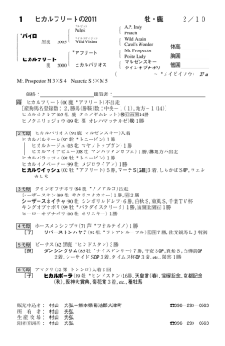 1勝 - 馬市ドットコム