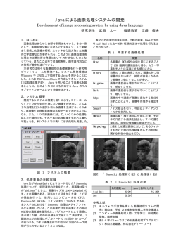 Java による画像処理システムの開発