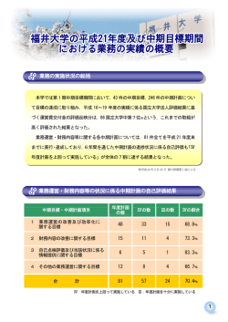 業務の実績の概要