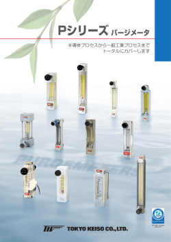 Pシリーズパージメータ