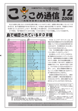 こっこめ通信 - 八丈ビジターセンター