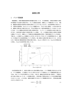 画像分類