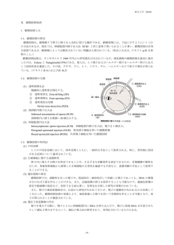 精子で