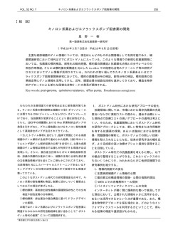 キノロン系薬およびエフラックスポンプ阻害薬の開発