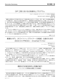 DIP 工程における白色度向上プログラム 最適な