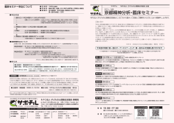 京都精神分析・臨床セミナー - 子どもの心理療法支援会 サポチル