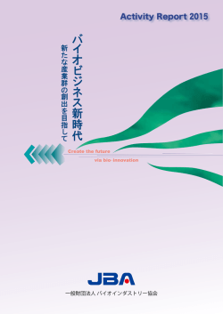 Activity Report 2015