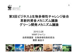 第3回ビジネスと生物多様性チャレンジ会合 革新的資金