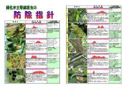 PDFダウンロード