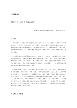 研究紹介 環境ストレスと光合成の修復