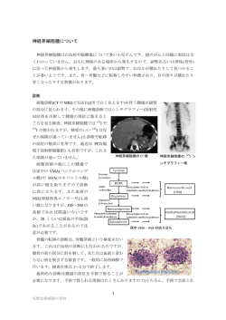 神経芽細胞腫パンフレット - 社会医療法人北楡会｜札幌北楡病院