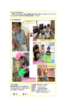 虫探しに夢中のお子様達。園庭