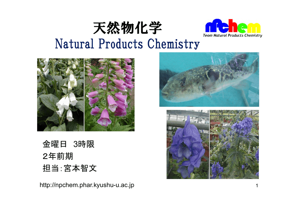 天然物化学 Natural Products Chemistry