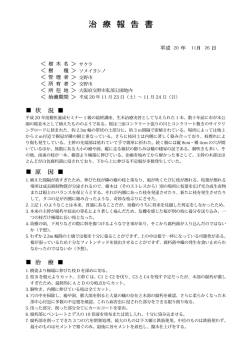 （日）～24日（月） 初めての生木治療実習 治療報告書（pdf.908kb）