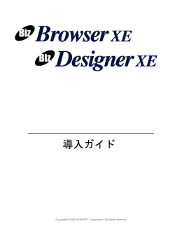 Biz/Browser・Biz/Designer 導入ガイド - Biz