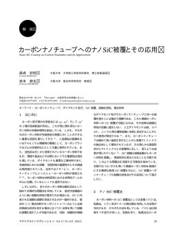 カーボンナノチューブへのナノSiC被覆とその応用