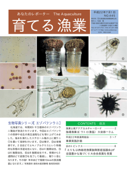 あなたのレポーター The Aquaculture 生物写真シリーズ【エゾバフンウニ】