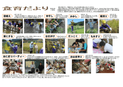 田植え 中干し かかし 稲刈り はさがけ だっこく おにぎりパーティー おはぎ