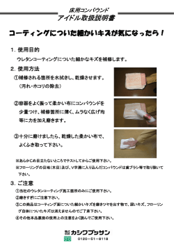 アイドル取扱説明書