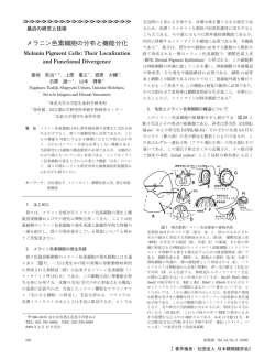 本文PDF - 日本顕微鏡学会