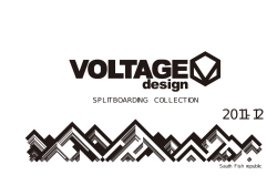 VOLTAGEdesign SPLITBOARD 2012 カタログ