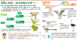 恐竜と鳥類 ～鳥は恐竜の子孫？～