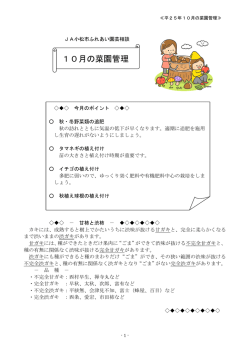 10月の菜園管理