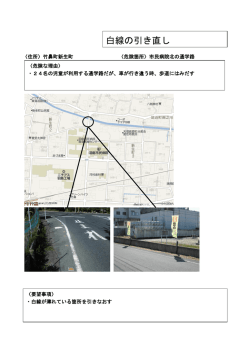 白線の引き直し
