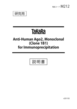 Anti-Human Ago2, Monoclonal (Clone 1B1)