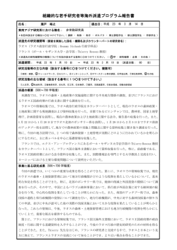 組織的な若手研究者等海外派遣プログラム報告書