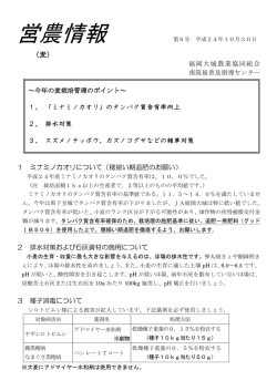 11月1日更新分