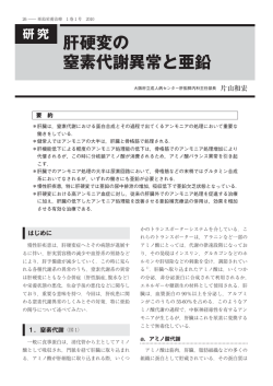 肝硬変の 窒素代謝異常と亜鉛