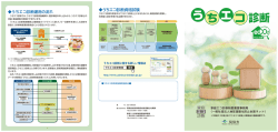 うちエコ診断資格試験