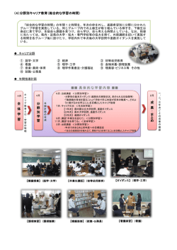 （4）分野別キャリア教育（総合的な学習の時間） 全 体 学 習 分 野 別 学