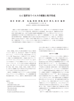 5. C 型肝炎ウイルスの複製と粒子形成 - J