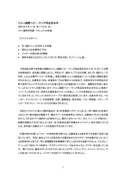 ファイナルレポート 2008