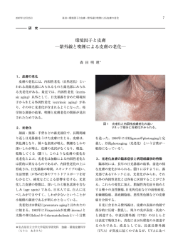 環境因子と皮膚 ―紫外線と喫煙による皮膚の老化