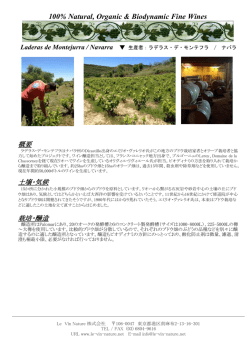 Laderas de Montejurra（スペイン・ナバラ/ラデラス・デ・モンテフラ）