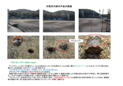 天然芝生床土のブラックレイヤー