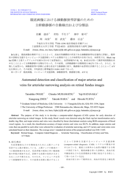 眼底画像における細動脈狭窄評価のための 主幹動静脈の