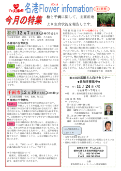 第18号 年末向け 松と千両の生育状況 2014年11