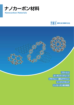 ナノカーボン材料 (PDF file)