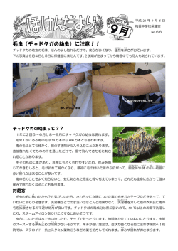 毛虫（チャドクガの幼虫）に注意！！