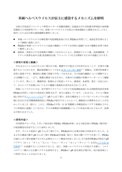 1 ＜研究の背景と経緯＞ ＜研究内容＞