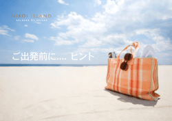 ご出発前に.... ヒント - Nikoi Island