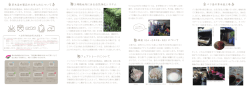 natural-dyeing ura