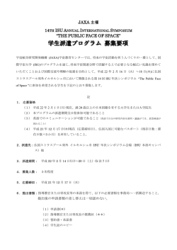 pdf形式